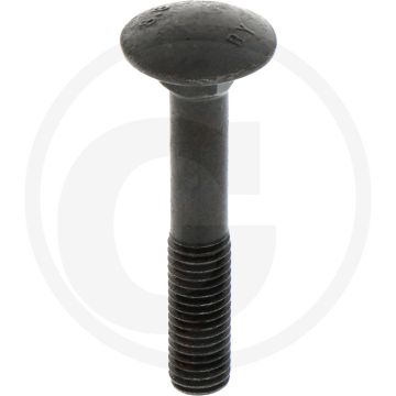 Maschio Nummerplaatbouten (zonder moer)