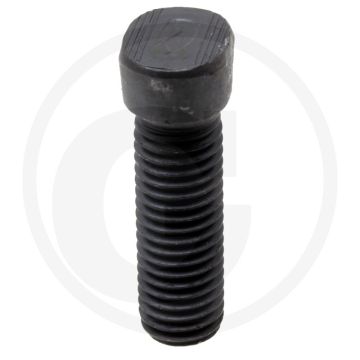Boulon de Rabe (M12 x 40, 12.9)