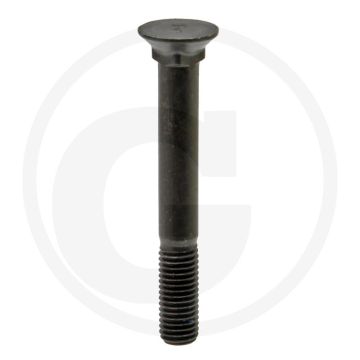 Boulon de Rabe - Dimensions (mm) : M12 x 95