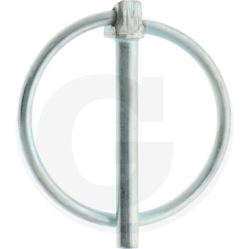 Borgpen - Verzinkt, A: 4,5mm, C: 41mm, F: 47mm