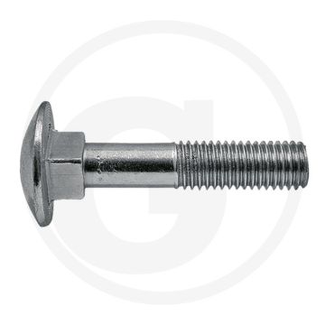 Slotbouten M10 x 30, DIN 603 - Staal, Verzinkt, 8.8, Ø D: 10mm