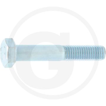 Ziegler Zeskantbout (M12 x 70, 10.9)