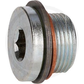 KS Tools Ölablassschraube M22 x 1,5 x 18 mm für MAN met Dichtring.