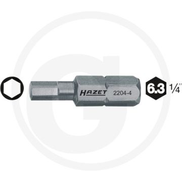 Hazet Bit 25mm Speciaal staal 1/4" ISO 1173 C6,3 (1/4") - 100 tekens