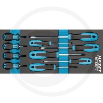 Hazet SCHRAUBENDREHER-SATZ met Safety-Insert-System