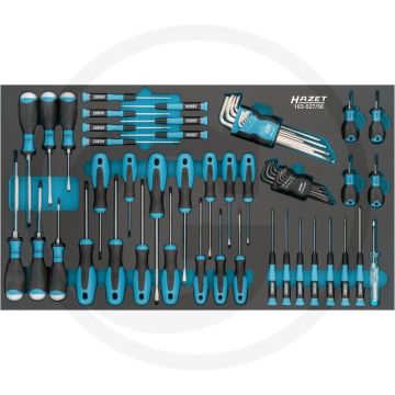 Hazet SCHRAUBENDREHER-SATZ met Safety-Insert-System