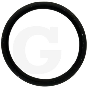 Annovi Reverberi O-ring Ø: 17,5 x 2 mm