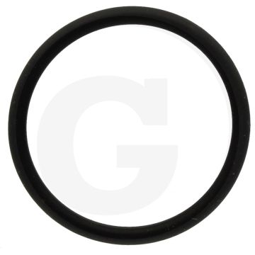 Annovi Reverberi O-ring Ø: 28,25 x 2,62 mm
