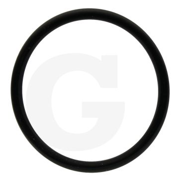 Annovi Reverberi O-ring Ø: 31,42 x 2,62 mm