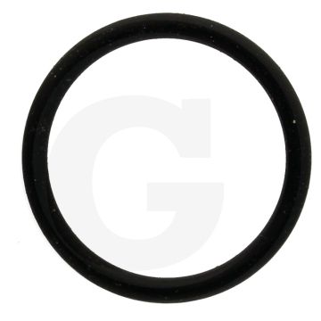 Annovi Reverberi O-ring Ø: 23,81 x 2,62 mm - Ref.nr. 550350