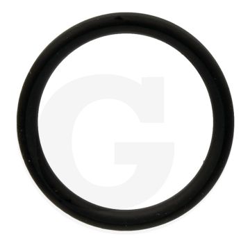 Annovi Reverberi O-ring Ø: 20,63 x 2,62 mm