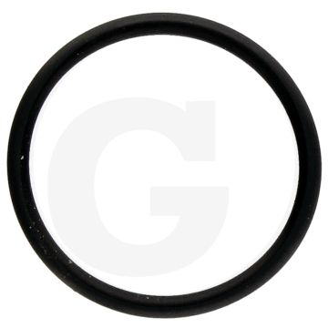 Annovi Reverberi O-ring Ø: 20,35 x 1,78 mm