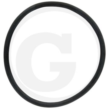 ARAG O-ring (voor filterelement)