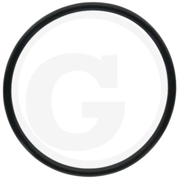 ARAG O-ring (voor filterhuis)