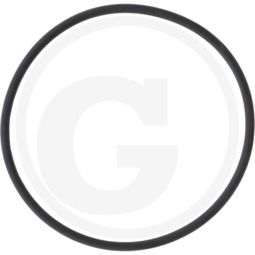 ARAG O-ring (afdichting voor insteektule) - Zuigfilters T9 serie