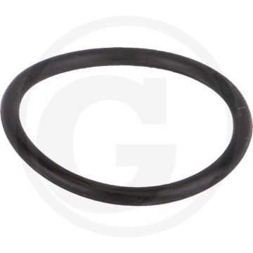 BANJO O-ring aftapplug - Zuigfilters met flensaansluiting 2"