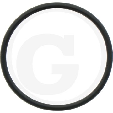Braglia O-ring (voor filterhuis)
