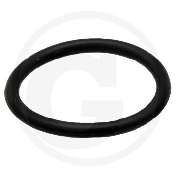 Braglia O-ring (voor magneetmoer)