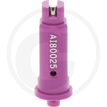 TeeJet Injector-spleetdop 025, 80° - Paars, Kunststof & RVS