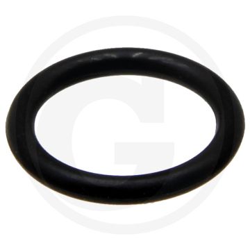 ARAG O-ring (EPDM)