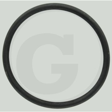 Amazone O-Ring 76,00x5,50 - Drukfilters