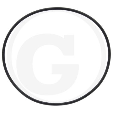 Horsch O-ring voor aanzuigfilterelement 317 ser. - Binnen-Ø: 94,92mm
