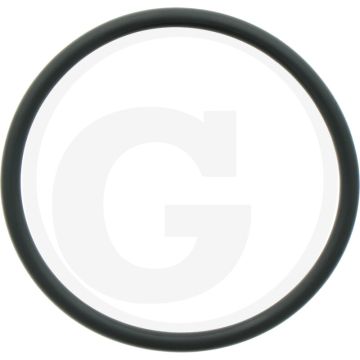 Horsch O-ringafdichting, insteektule - Leeb AX