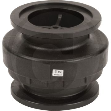 BANJO Terugslagklep 2" FP - Aansluiting 2" FP