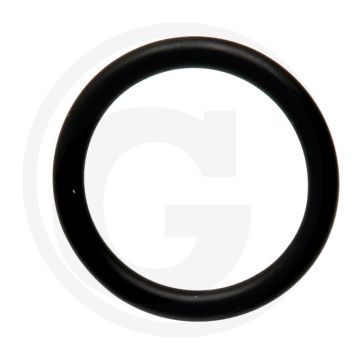 Annovi Reverberi O-ring 508, 510, 512 voor 115L pomp (max 20 bar) Ø: 31,5 x 4,5