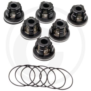 Annovi Reverberi Kleppenset (O-ring 6703120230 Klep 6703129050)