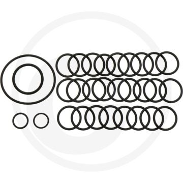 Annovi Reverberi O-ring set - 30 stuks