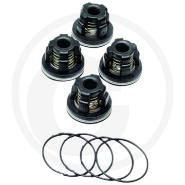 Annovi Reverberi Kleppenset (O-ring 670320030 Klep 670759054)