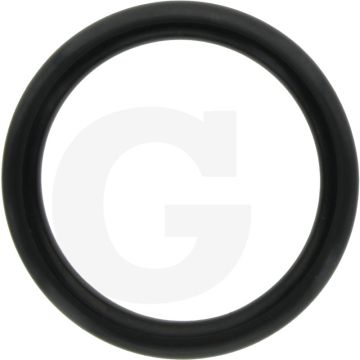 Annovi Reverberi O-ring Ø: 31,5 x 4,5 mm