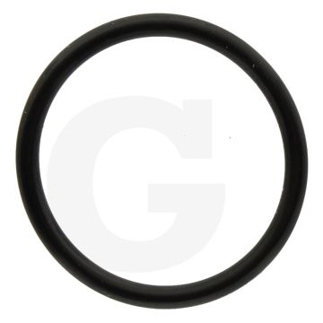 Annovi Reverberi O-ring Ø: 26,65 x 2,62 mm
