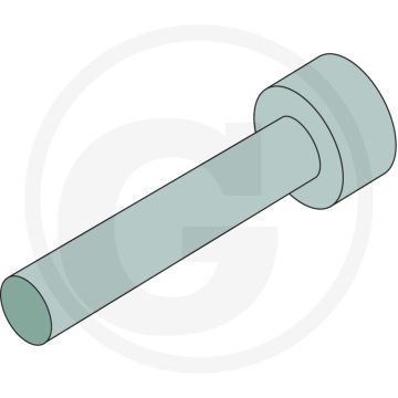 Annovi Reverberi Bout M6 x 30 mm.