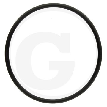 Annovi Reverberi O-ring Ø: 53,65 x 2,62 mm