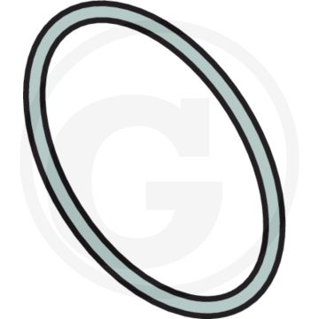 Annovi Reverberi O-ring Ø: 69,52 x 2,62 mm