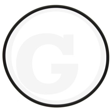 Annovi Reverberi O-ring Ø 78 x 2,5 mm