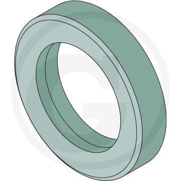 Annovi Reverberi Asafdichtingsring - Aantal per pomp 1