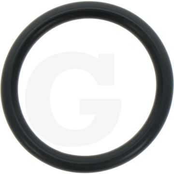 Annovi Reverberi O-ring Ø: 31,5 x 4,25 mm - Ref. 680070