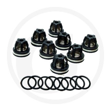 Annovi Reverberi Kleppenset (O-ring 670680070 klep 670759054)