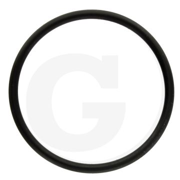Annovi Reverberi O-ring Ø: 39,3 x 2,6 mm.