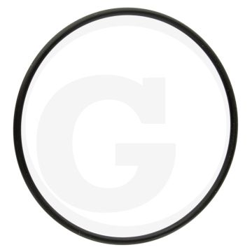 Annovi Reverberi O-ring Ø: 72,69 x 2,62 mm