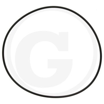 Annovi Reverberi O-ring Ø: 120,32 x 2,62 mm