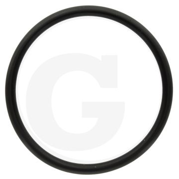 Annovi Reverberi O-ring Ø: 47,22 x 3,53 mm