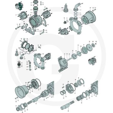 Annovi Reverberi Schroef M10 x 16 mm (Aantal per pomp 3)
