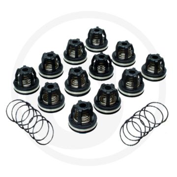 Annovi Reverberi Kleppenset (O-ring 670680070 klep 670759054)