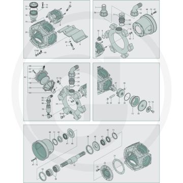 Annovi Reverberi Bout M10 x 25 mm, RVS - Aantal per pomp 6