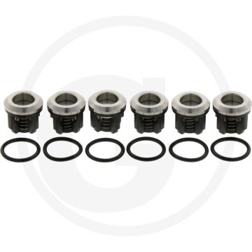 Annovi Reverberi Kleppenset (O-ring 6701140450 klep 6701889051)