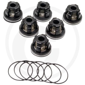 Annovi Reverberi Kleppenset (O-ring 670620030 klep 6701409050)
